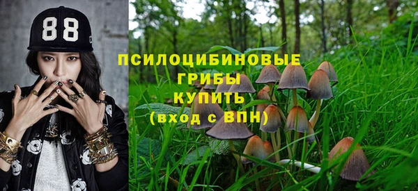 стафф Алексеевка
