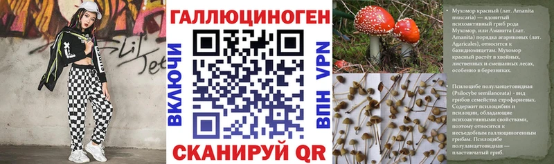 магазин    Черепаново  KRAKEN ссылки  Галлюциногенные грибы мухоморы 